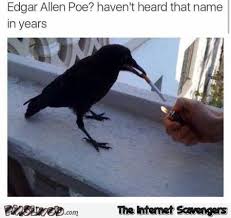 Crow Doesn T Know Edgar Allen Poe Dank Meme Pmslweb