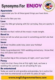 English Synonyms Enjoy Definition And Examples Another Words For Enjoy Synonym Words Enjoy English Vocabulary Words Good Vocabulary Words English Vocabulary