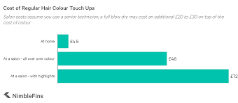 We found the best temporary hair dyes on the market to take for a spin. Average Cost Of Hair Colour Nimblefins