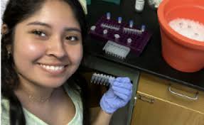 Thesis/Dissertation Defenses