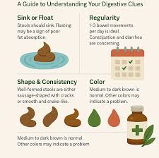 Image result for dark black stool human poop