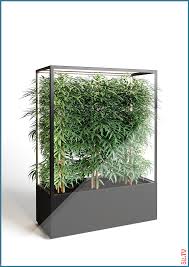 Cube Planted Wall Mobil Green Room Divider Cube Planted Wall Mobil Green Room Divider Lasfera Gmbh 038 Co Kg Hgarbers L Plant Wall Room With Plants Green Rooms
