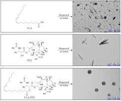 Most mexican female names are pretty names that are admired by many people both in mexico and in other countries. A Self Assembling Nanomedicine Of Conjugated Linoleic Acid Paclitaxel Conjugate Cla Ptx With Higher Drug Loading And Carrier Free Characteristic Scientific Reports