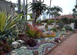 Image Result For Drought Tolerant Plants For Sacramento Area Drought Tolerant Plants Plants Mediterranean Garden Design