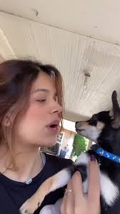 Cuando arruinan tus Insta stories con mascotas