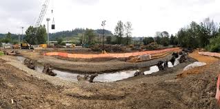 Before the pandemic, she would drive to eastridge church to take the amazon shuttle into the office and i. North Fork Issaquah Creek Restoration And Bridge Replacement Environmental Science Associates