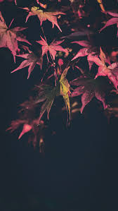 Fox pattern ★ find more autumn & other seasonal wallpapers for your #iphone + … iphone x wallpaper 44262008816005506. 13 Ide Wallpaper Di 2021 Wallpaper Ponsel Wallpaper Seni Wallpaper Layar