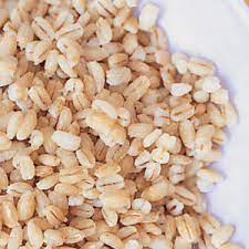 Barley For A Pet Dog Healthy For Hounds Best Advice