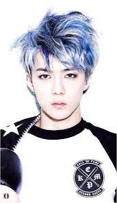 Cool Korean Hairstyles For Men In 2021 Exo Sehun Korean Men Hairstyle Hair Styles