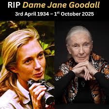 Remembering Jane Goodall's contributions to primatology and conservation