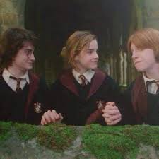 Harry Potter Y El Caliz De Fuego Fotos De Harry Potter Peliculas De Harry Potter Personajes De Harry Potter