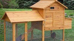 🐓 everyone should experience keeping chickens 😀 200,000 followers on facebook 💻 join the flock today! Top 6 Best Customer Rated Chicken Coops Reviews And Guide 2019 Chicken Coop Run Diy Chicken Coop Chickens Backyard