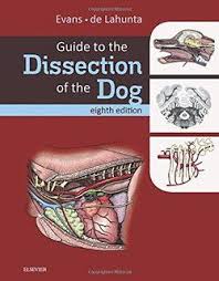 Guia Para La Diseccion Del Perro Dissection Dog Books Anatomy Coloring Book