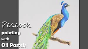 Having a shapewear in your closet is one of the best tribal yoga harem pant with lace up applique by elvenforest: How To Paint A Peacock In Watercolor Step By Step Youtube