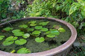 We did not find results for: How To Make A Small Pond In Your Garden Stihl Blog
