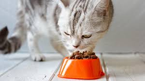 Check spelling or type a new query. 15 Best And 5 Worst Cat Food Brands Cat Reviews