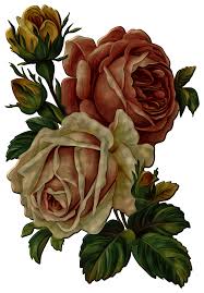 Vintage Flower Png Transparent Http Iezombie Net Vintage Flower Png Transparent Vintage Flowers Flower Art Flowers