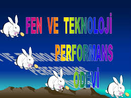 Fen Ve Teknoloji Performans Odevi Ppt Indir