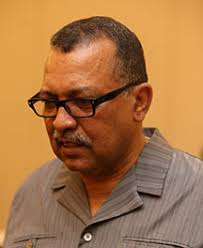 Nine overseas-based Guyanese give their take