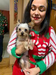 Hello all! This is Lewy Vuitton. He's my 5lb tiny toy Aussie. He's a  handful. He picks