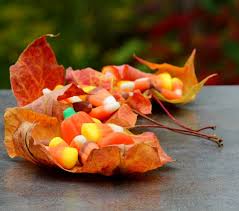 We did not find results for: Candy Corn Plant Cuphea Micropetala Types Of Candy Corn Plants