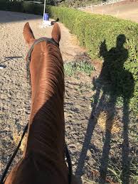 Riding On Stilts Today I Guess At Fotografciligi Binicilik At Sevgisi