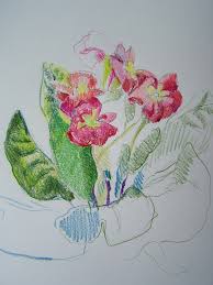 Visualizza altre idee su disegni, disegni di tumblr, schizzi. Disegni Fiori Colorati Tumblr Coloring And Drawing