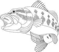 Sketch a few shapes as the basis of your drawing. 59 594 Black And White Fish Stock Vector Illustration And Royalty Free Black And White Fish Clipart