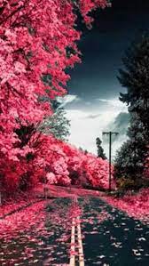 See more ideas about screen wallpaper, funny quotes, bones funny. Home Screen Wallpaper Ixpap