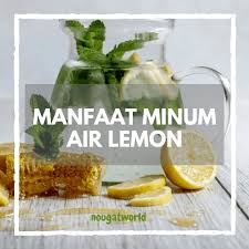 Manfaat Minum Air Lemon Oleh Oleh Khas Jakarta
