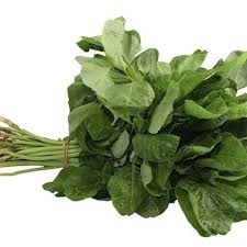 Jual bibit tanaman hias, buah dan sayur, ciawi, jawa barat, indonesia. Jual Benih Bayam Hijau Biji Bibit Tanaman Sayur Sayuran Shopee Indonesia