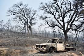 Check spelling or type a new query. 2018 Um Ano Dominado Pelo Grande Incendio De Monchique