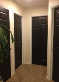 When the doors are closed the painted surface transforms into a dark accent wall. 32 Ideas Painting Colors Black Doors Black Doors Black Interior Doors Black Inside Doors