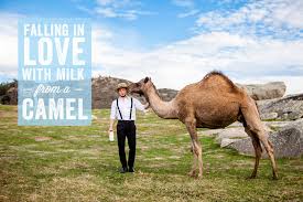 Clicked on this drive folder and found a different driver ready to install from there. Camel Milk Inhibits Growth Of Colon Cancer And Other Health Potentials Dromacity Passion Dromadaire Et Desert