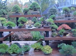 For greater impact, the bonsai could be put in enclosures, consisting of terrariums, which can be flowering bonsai are very popular and fruits on miniature trees fascinate almost everybody. Bonsai Gardens Of The Northeast Part 2 Bonsai Garden Bonsai Tree Bonsai Nursery