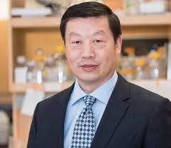 DJAVAD MOWAFAGHIAN CENTRE FOR BRAIN HEALTH YEAR IN REVIEW ADVANCING BRAIN  HEALTH THROUGH RESEARCH AND CARE