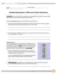 Choose from 500 different sets of biology chapter 12 dna and rna answer key. Rna And Protein Synthesis