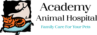 Teacup french bulldog life expectancy january 25, 2021. Senior Pet Care In Solana Beach Ca Academy Animal Hospital
