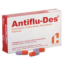 Antiflu Des Que Es Y Para Que Sirve El Quiosco