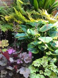 Is dedicated to the construction and maintenance of atlanta's finest gardens. Your Premier Suwanee Gwinnett County Ga Landscaping Services Company