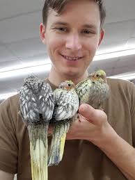 Visited baby birb at the store