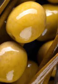 Rub the seed on sandpaper until the surface of the seed is broken. Botanical Description Intechopen