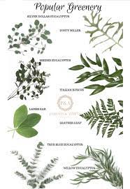 Pin By Verunka On Svatba Types Of Eucalyptus Wedding Leaves Types Of Flowers