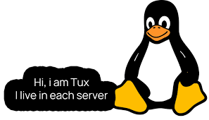 Image result for linux penguin