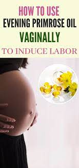 Evening Primrose Oil To Induce Labor When To Start Primrose Oil Labor Evening Primrose Oil Evening Primrose Oil Dosage