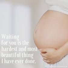 Pin On Pregnancy Quotes