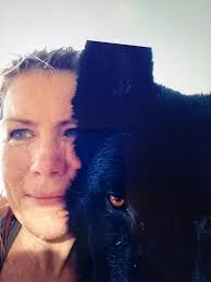 Dog Attack in Ottawa, Illinois: Concerns and Calls for Responsible Pet  Ownership