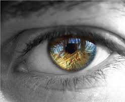 Resultado de imagem para olhar