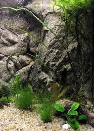 Borneo 3d Rock Background For Aquarium And Terrarium Tanks Akvarium