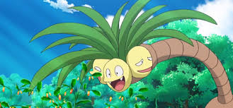25 Best Plant Based Pokemon From Flowers To Trees Fandomspot Jagg is an unused hammerhead shark/swordfish pokémon. plant based pokemon from flowers